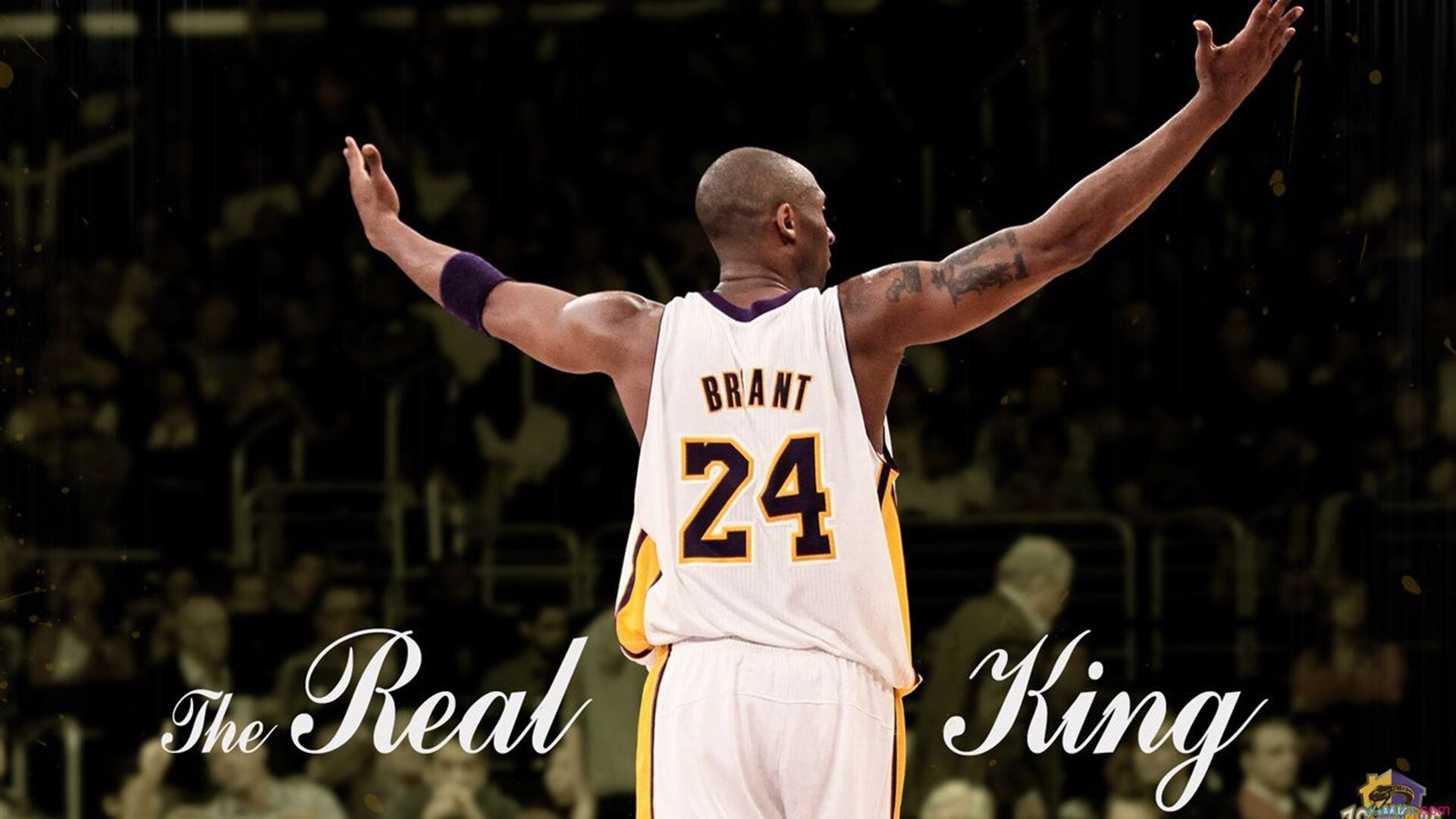 世界排名争夺战之夜，克莱数据全面爆炸